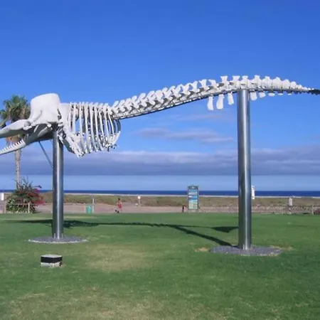 Tripmate, Mucho Más Que Alojamiento Morro Jable (Fuerteventura)